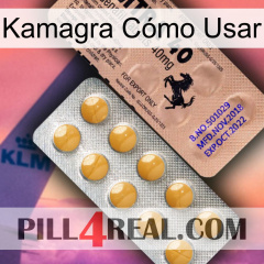 Kamagra Cómo Usar 41